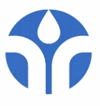Webdesign Taguchi